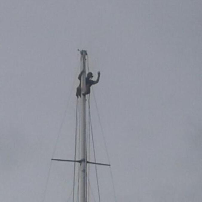 Jason up the mast